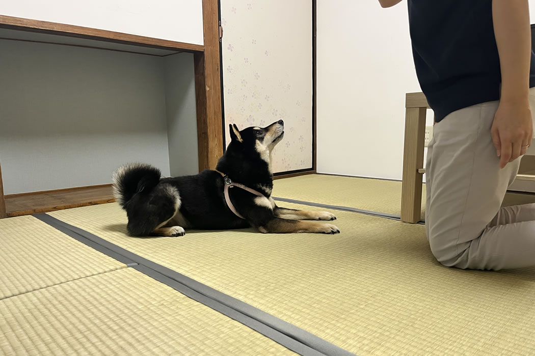 1階フロア貸切